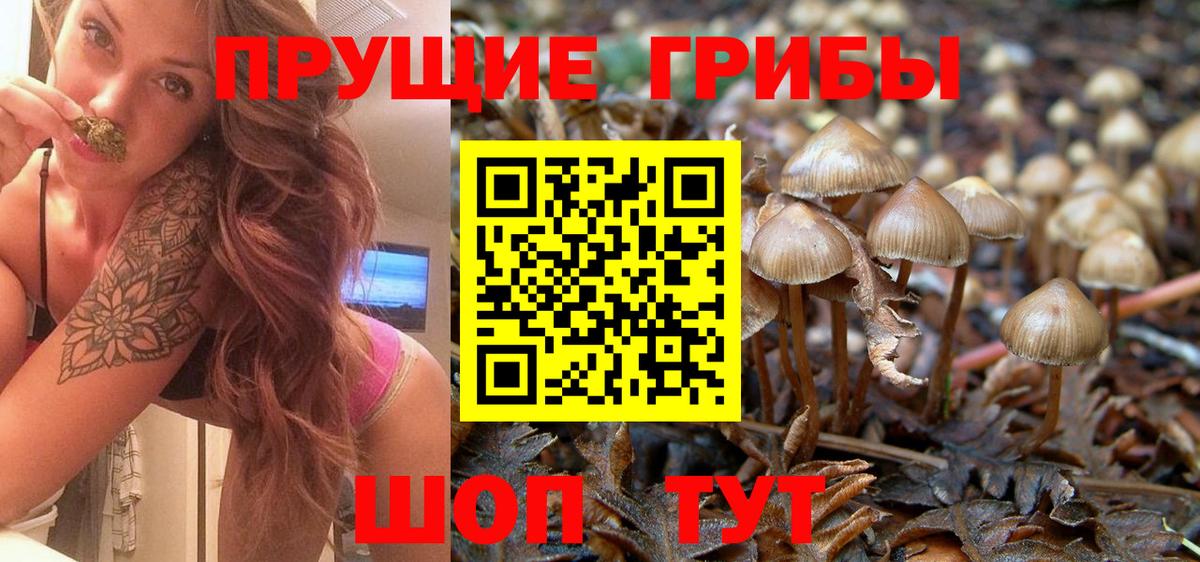 Псилоцибиновые грибы ЛСД  Вход с VPN  Щёкино 