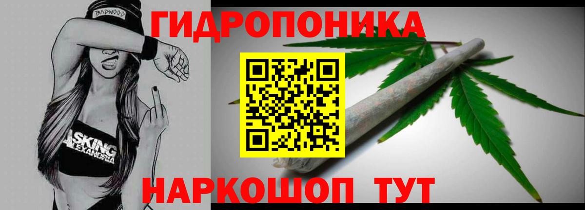Марихуана семена  Бошки марихуана SATIVA & INDICA  Вход с VPN  Конопля план  Щёкино 